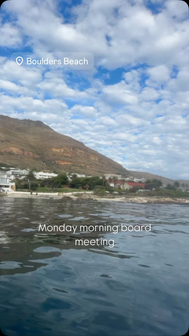 Monday morning board meeting
